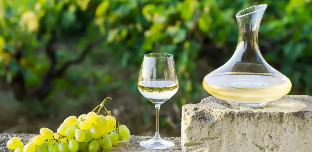 Ferahlığın ve Zarafetin Buluşma Noktası; Porta Diverti Sauvignon Blanc